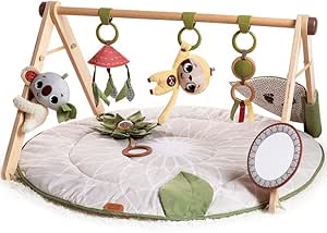 Wooden Activity Gym